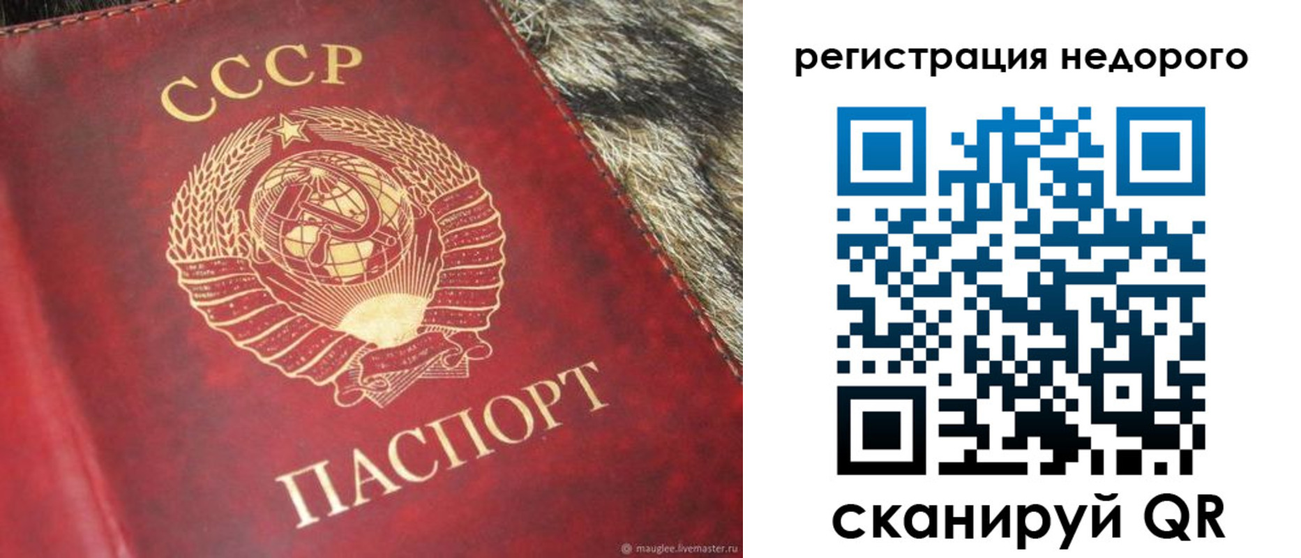 прописка ребенка в Асино